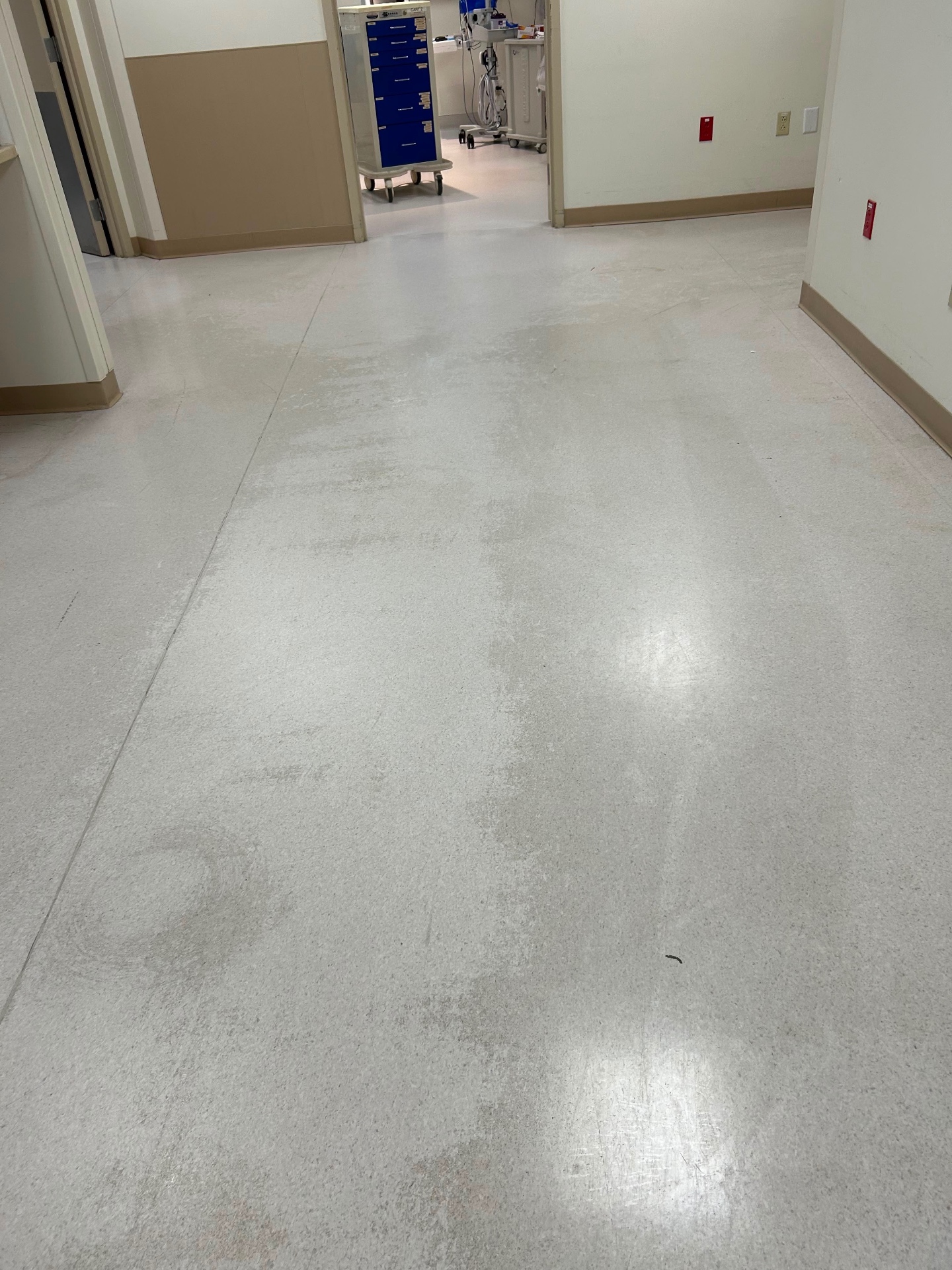 Hallway Strip & Wax before